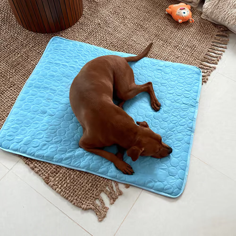Pawolaf Self-Cooling Dog Mat for Instant Heat Relief