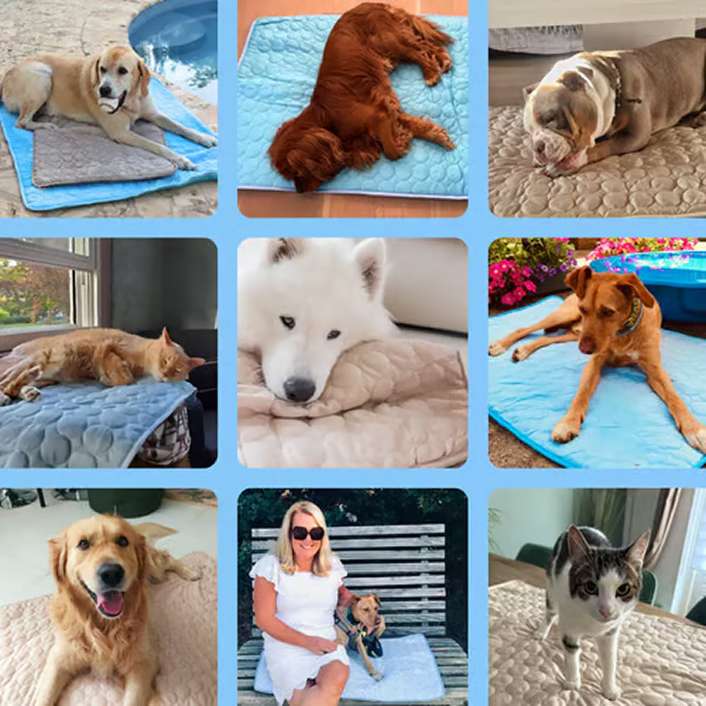 Pawolaf Self-Cooling Dog Mat for Instant Heat Relief