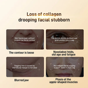Faciorax
