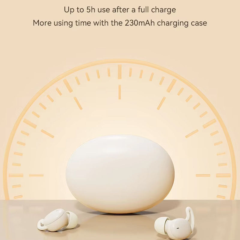 InvieVoix Noise Cancelling Earbuds