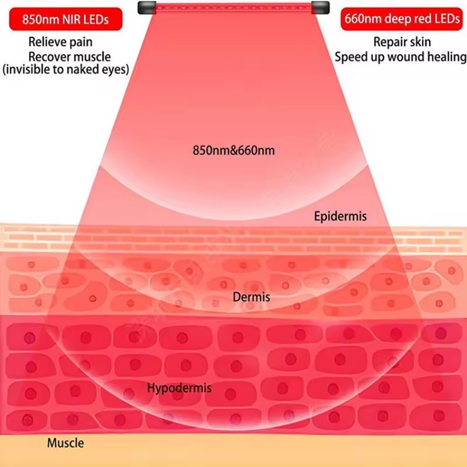 LumiNexof Red Light Therapy Lamps