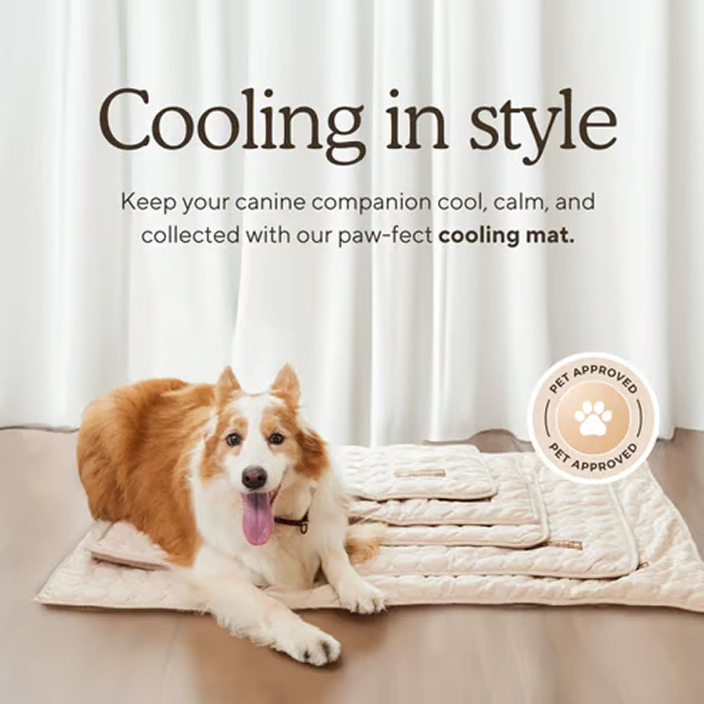 Pawolaf Self-Cooling Dog Mat for Instant Heat Relief