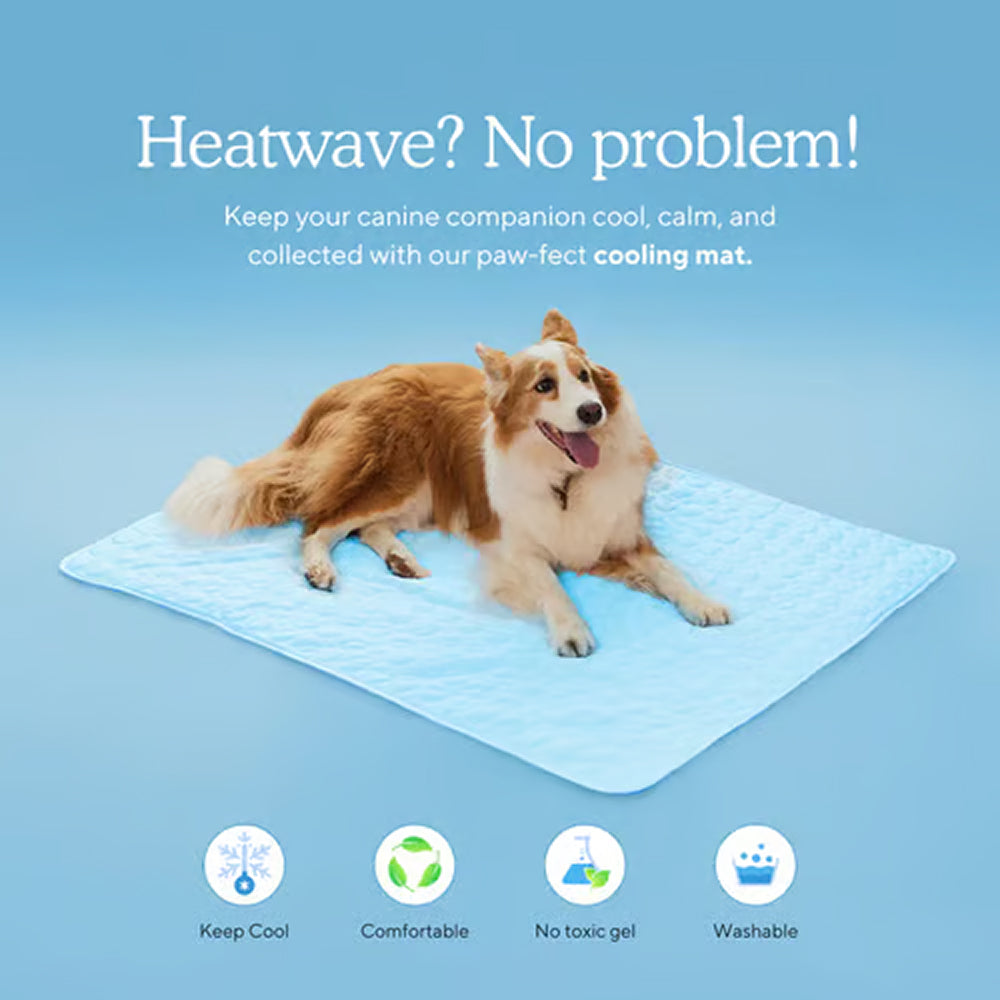 Pawolaf Self-Cooling Dog Mat for Instant Heat Relief